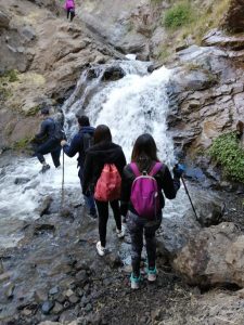 WhatsApp Image 2023-06-12 at 14.42.48